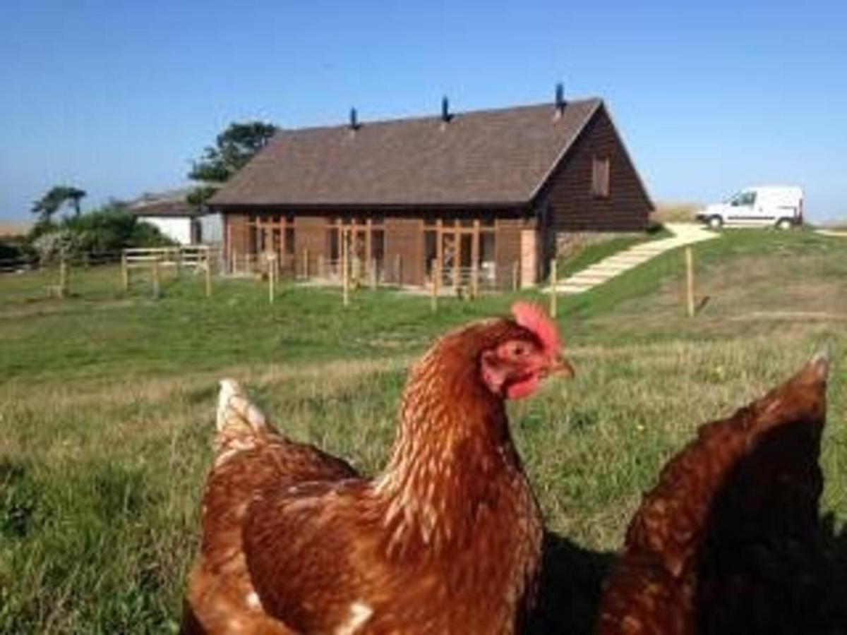 Poachers Hut - Captivating 1-Bed Cottage Shorwell Zewnętrze zdjęcie